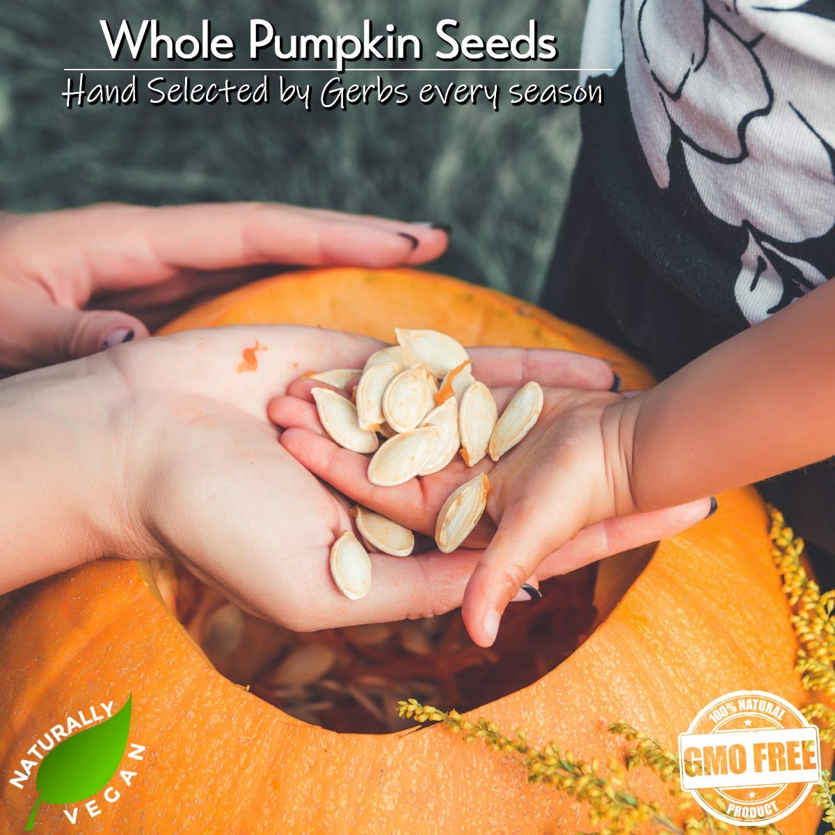 GERBS Jumbo Sea Salted Pumpkin Seeds in Shell – 2 LB, Allergen-Free & Non-GMO