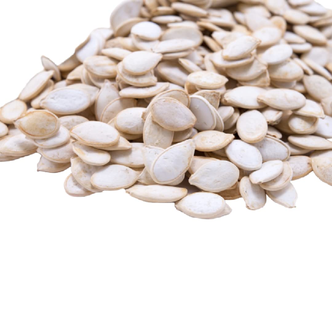 GERBS Jumbo Sea Salted Pumpkin Seeds in Shell – 2 LB, Allergen-Free & Non-GMO
