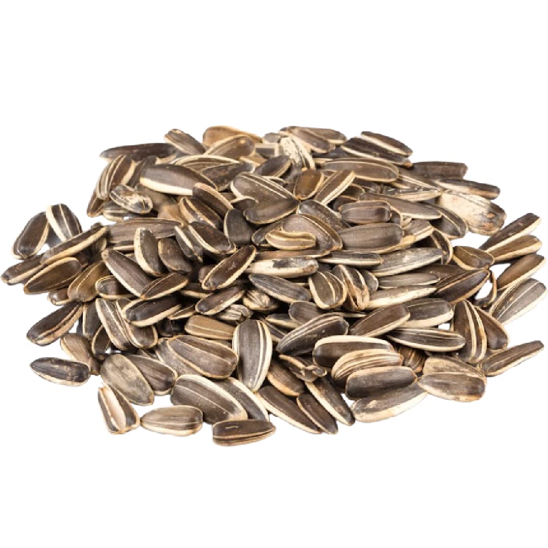 GERBS Jumbo Unsalted Sunflower Seeds in Shell – 2 LBS | Allergen-Free & Non-GMO