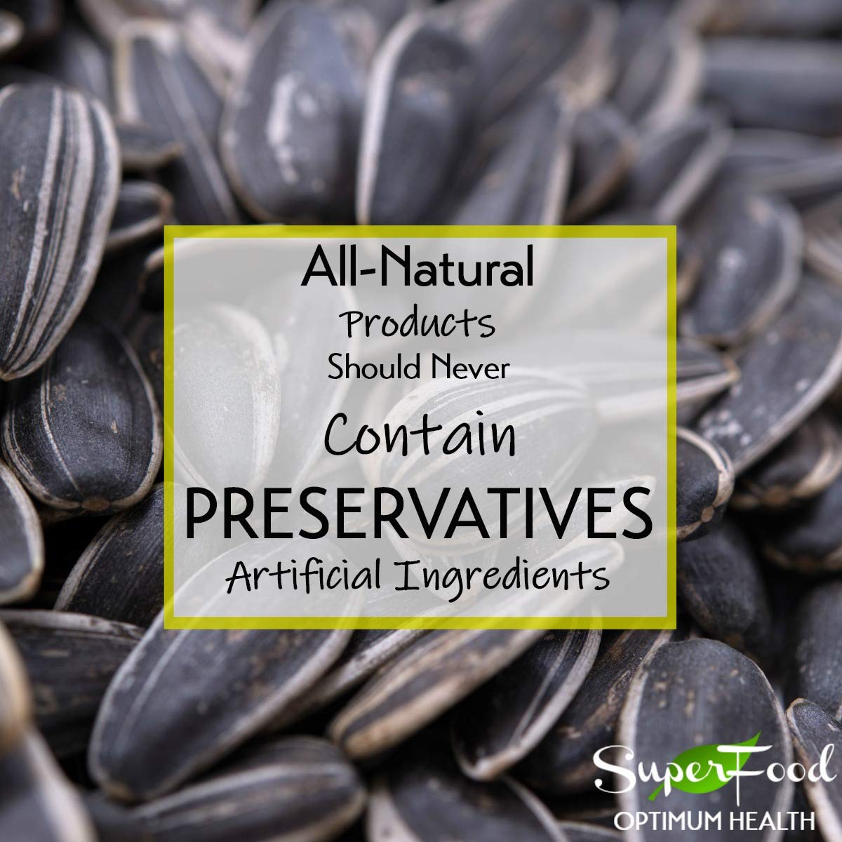 Gerbs Jumbo Sea Salted Sunflower Seeds – 2 LBS | Allergen-Free, Non-GMO, USA-Grown