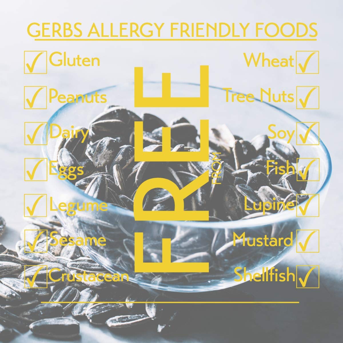 GERBS Jumbo Raw Whole Sunflower Seeds – 2 lbs, Shell-On, Allergen-Free