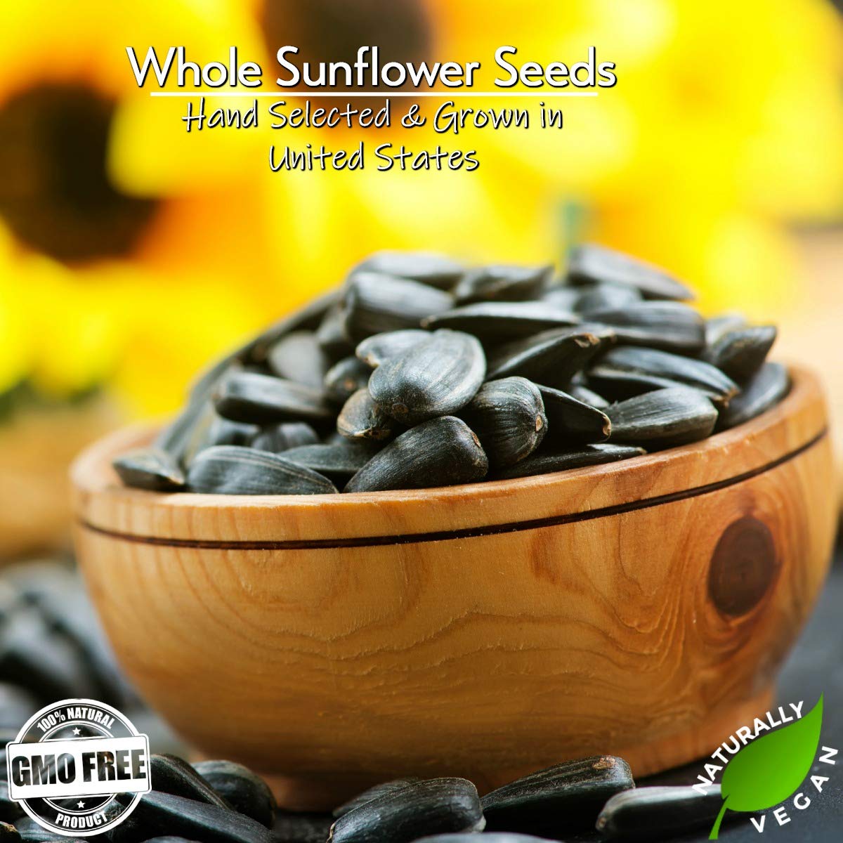 Gerbs Jumbo Sea Salted Sunflower Seeds – 2 LBS | Allergen-Free, Non-GMO, USA-Grown