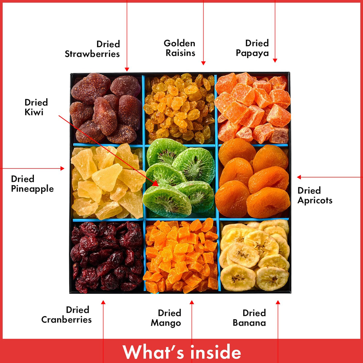 Gifted Sweets Dried Fruit Platter – 9 Variety Fruits Gift Tray | Gourmet Holiday Gift Box