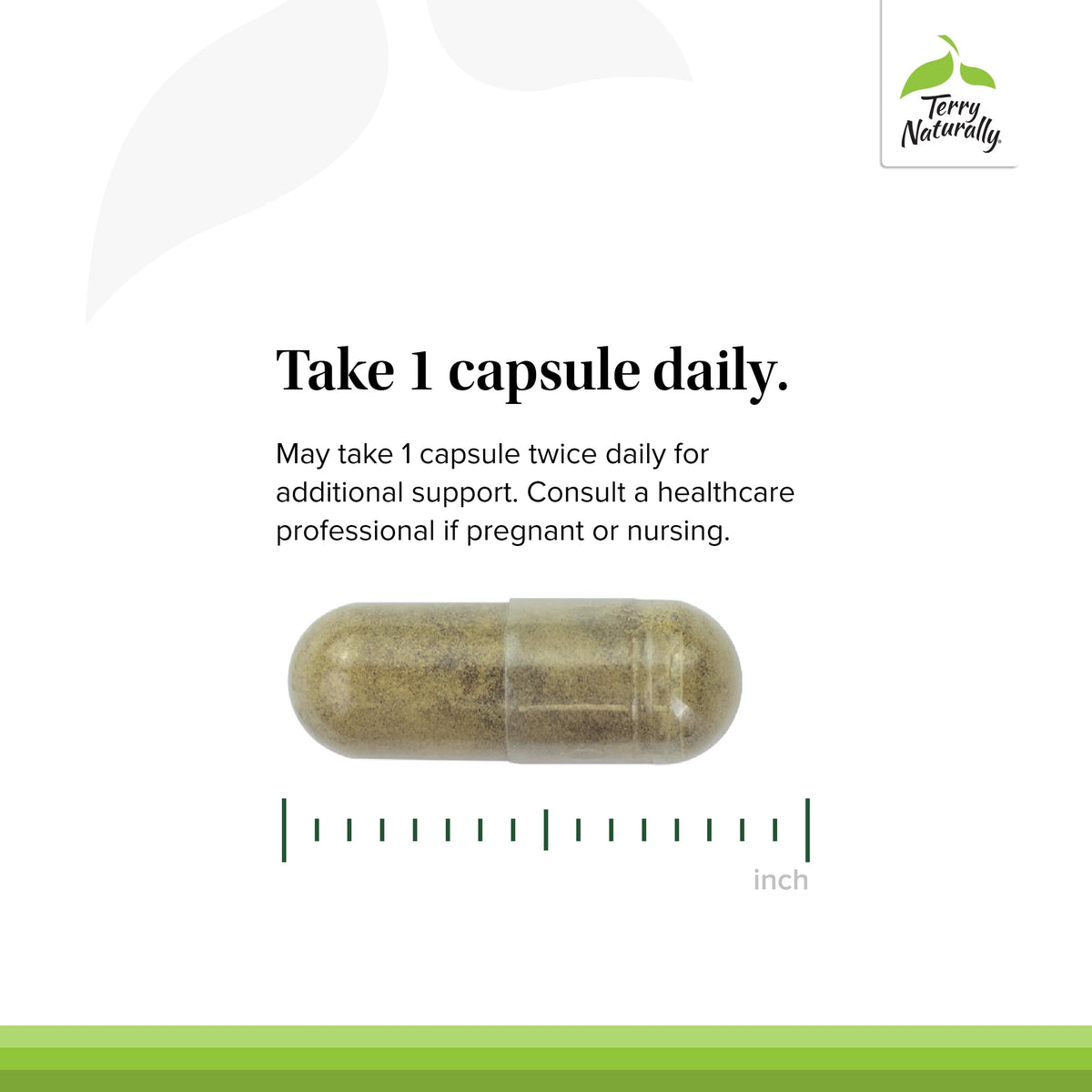 Terry Naturally GMT23 Greek Mountain Tea Plus Bacopa — Focus & Brain Health Supplement, 30 Capsules