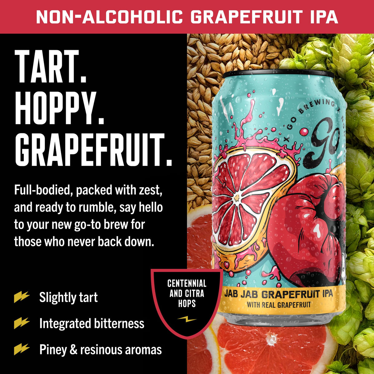 Go Brewing IPA 12 Mixed Pack – Non-Alcoholic Craft IPAs, Low-Calorie Small-Batch (12 oz, 12 Pack)