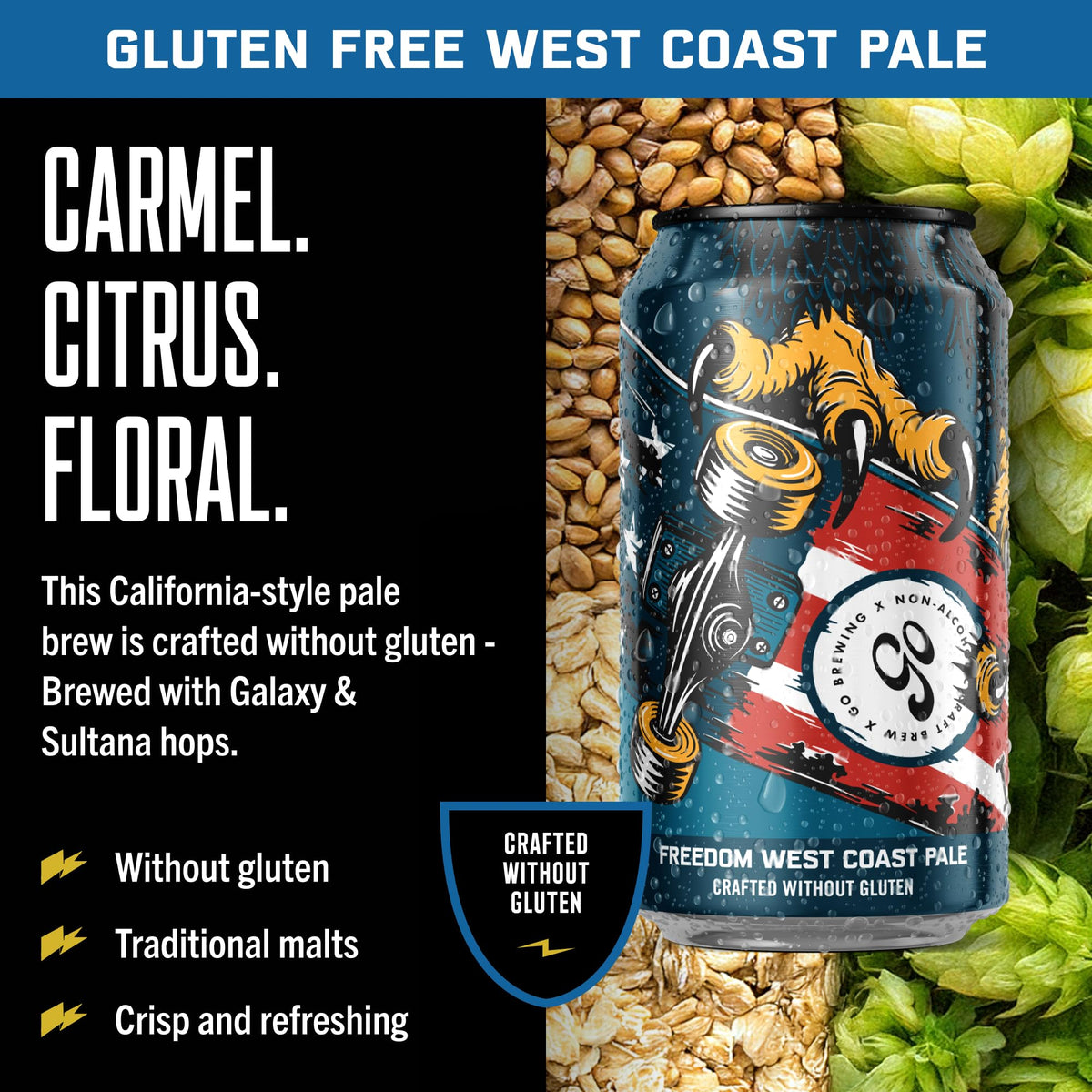 Go Brewing Freedom Non-Alcoholic Craft Beer Variety — West Coast Pale, Amber & Hazy IPA, Gluten Free, 12oz Cans