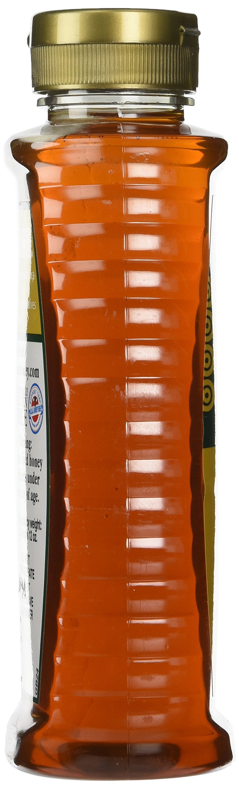 Golden Blossom Honey 24 Oz (3 Pack) | Pure Honey for Tea, Baking & More