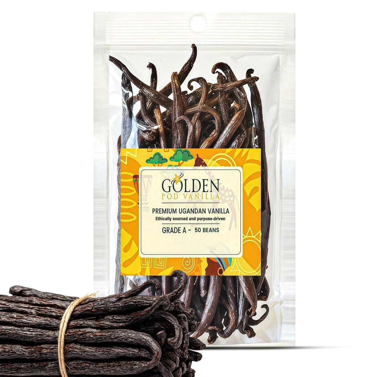 Golden Pod Vanilla Beans 50 Count – Gourmet Grade A Whole Vanilla Pods for Extracts & Baking