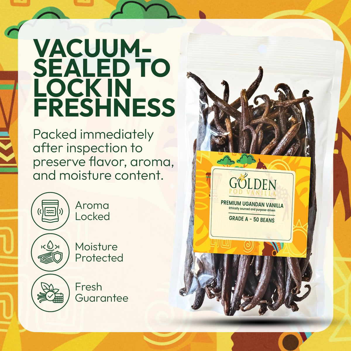 Golden Pod Vanilla Beans 50 Count – Gourmet Grade A Whole Vanilla Pods for Extracts & Baking