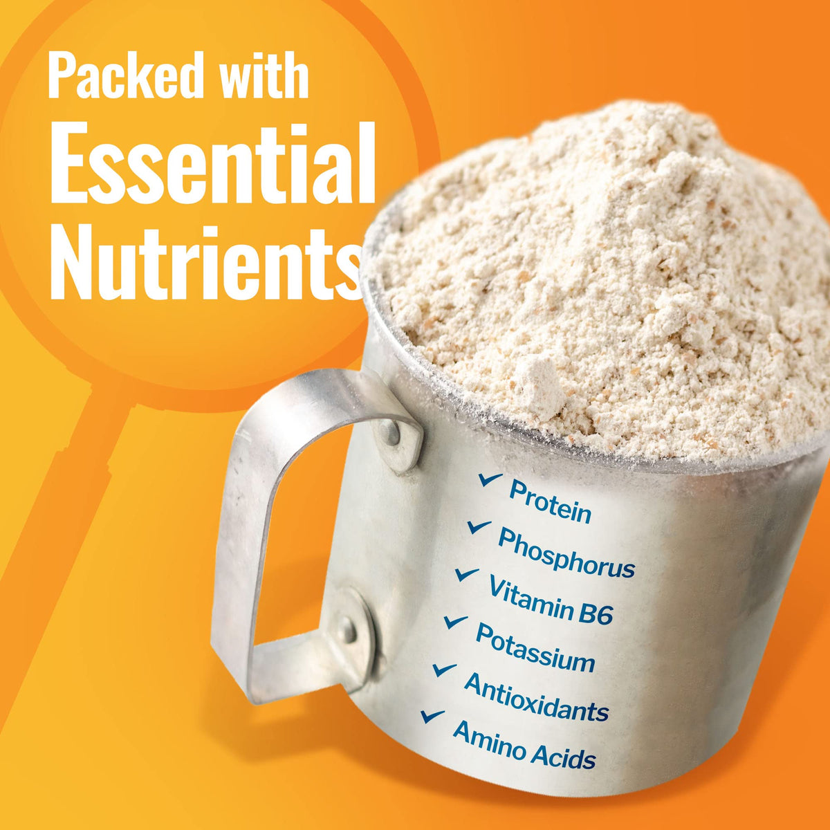 Grand Teton Ancient Grains Einkorn Flour - 100% Organic, Unbleached All-Purpose Flour, 5 lbs
