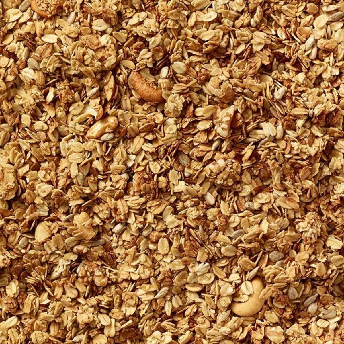 Grandy Organics Honey Nut Gluten Free Granola – Organic, Low Sugar, Non-GMO, 2lb Bulk Pack