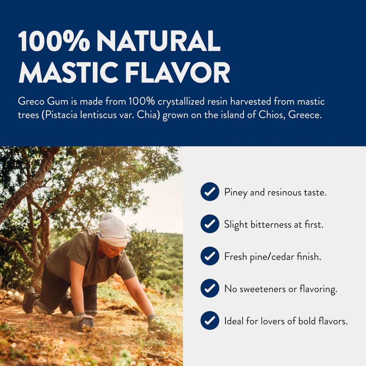 Greco Gum Mastic Droplets – Travel Size, Piney Flavor, Plastic-Free, Sugar-Free