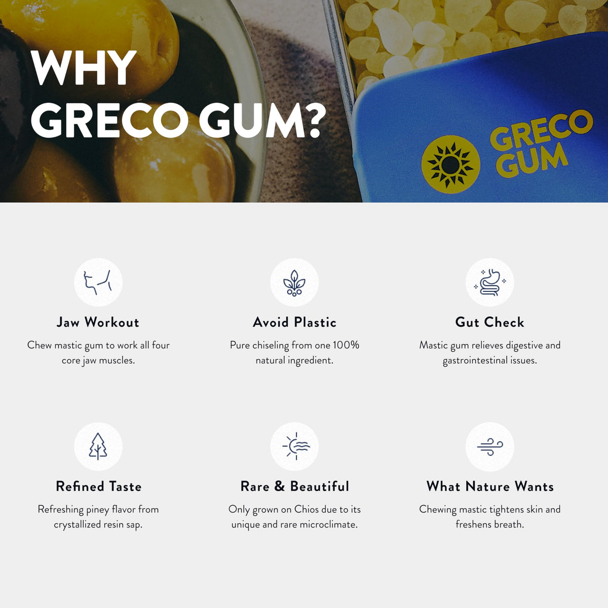 Greco Gum Mastic Droplets – Travel Size, Piney Flavor, Plastic-Free, Sugar-Free