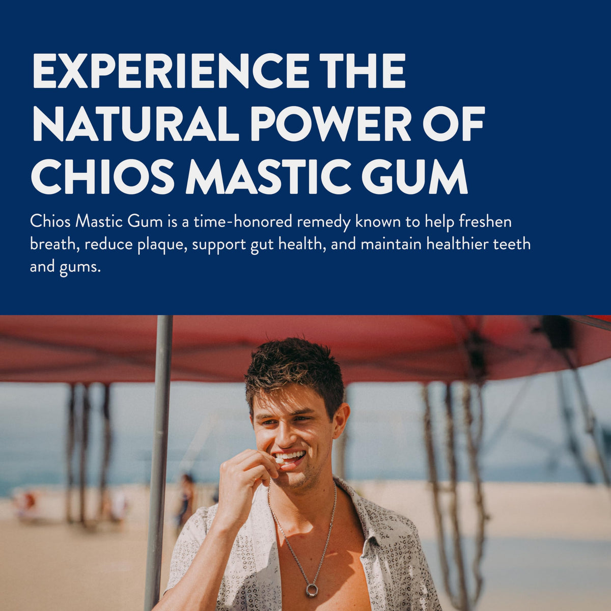 Greco Gum Mastic Gum Nuggets – Large Pieces, Piney Chios Mastiha in Travel Tin