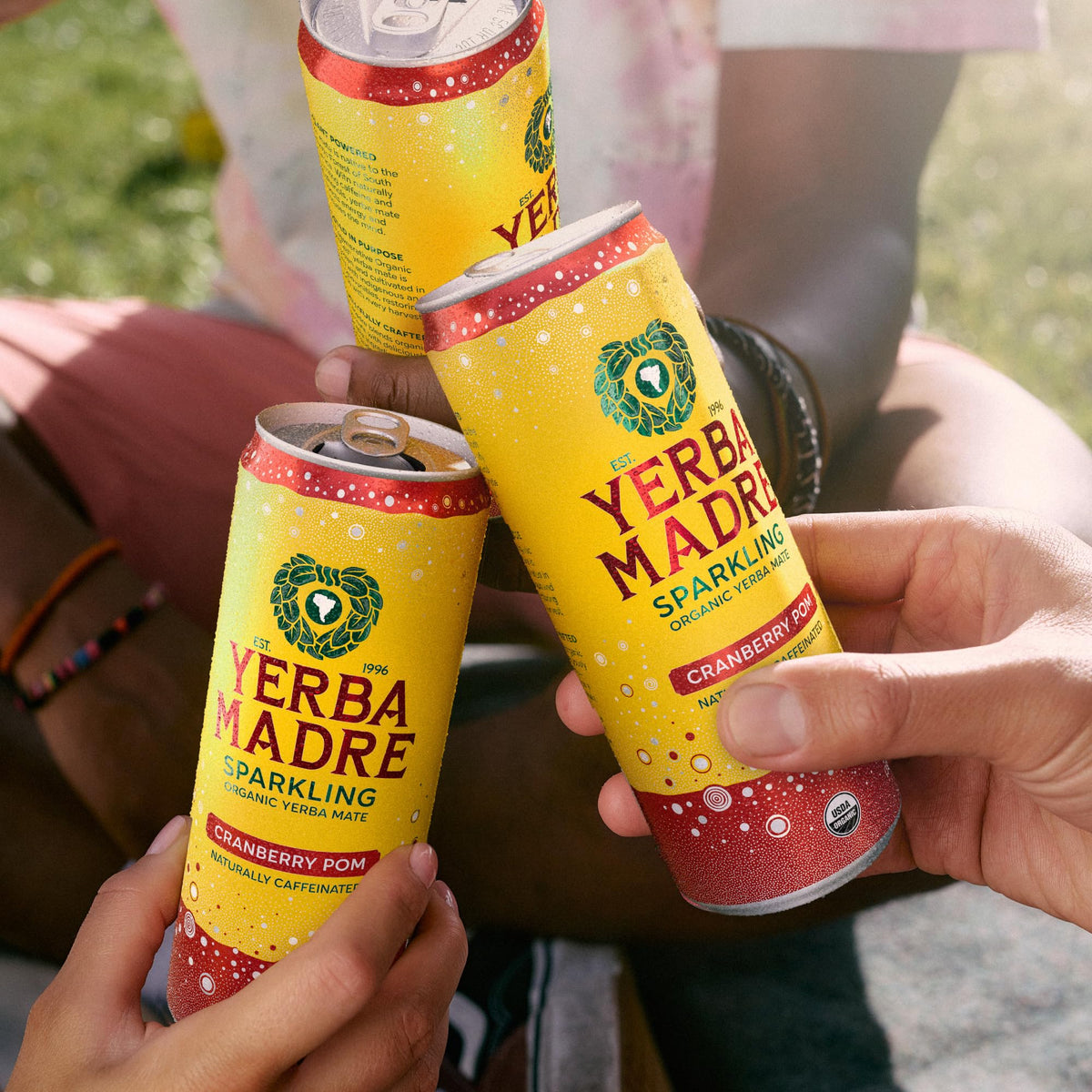 Guayaki Yerba Madre Organic Sparkling Yerba Mate Cranberry Pom – 12 Pack