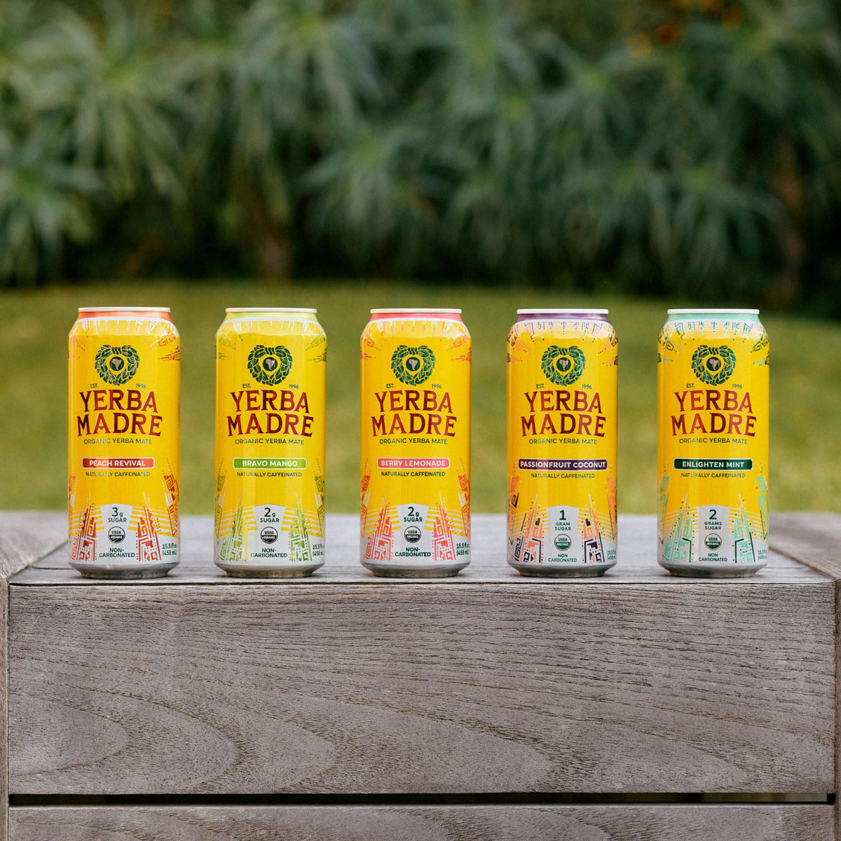 Guayaki Yerba Madre Berry Lemonade Yerba Mate – Low Sugar, 150 mg Caffeine, 12-Pack