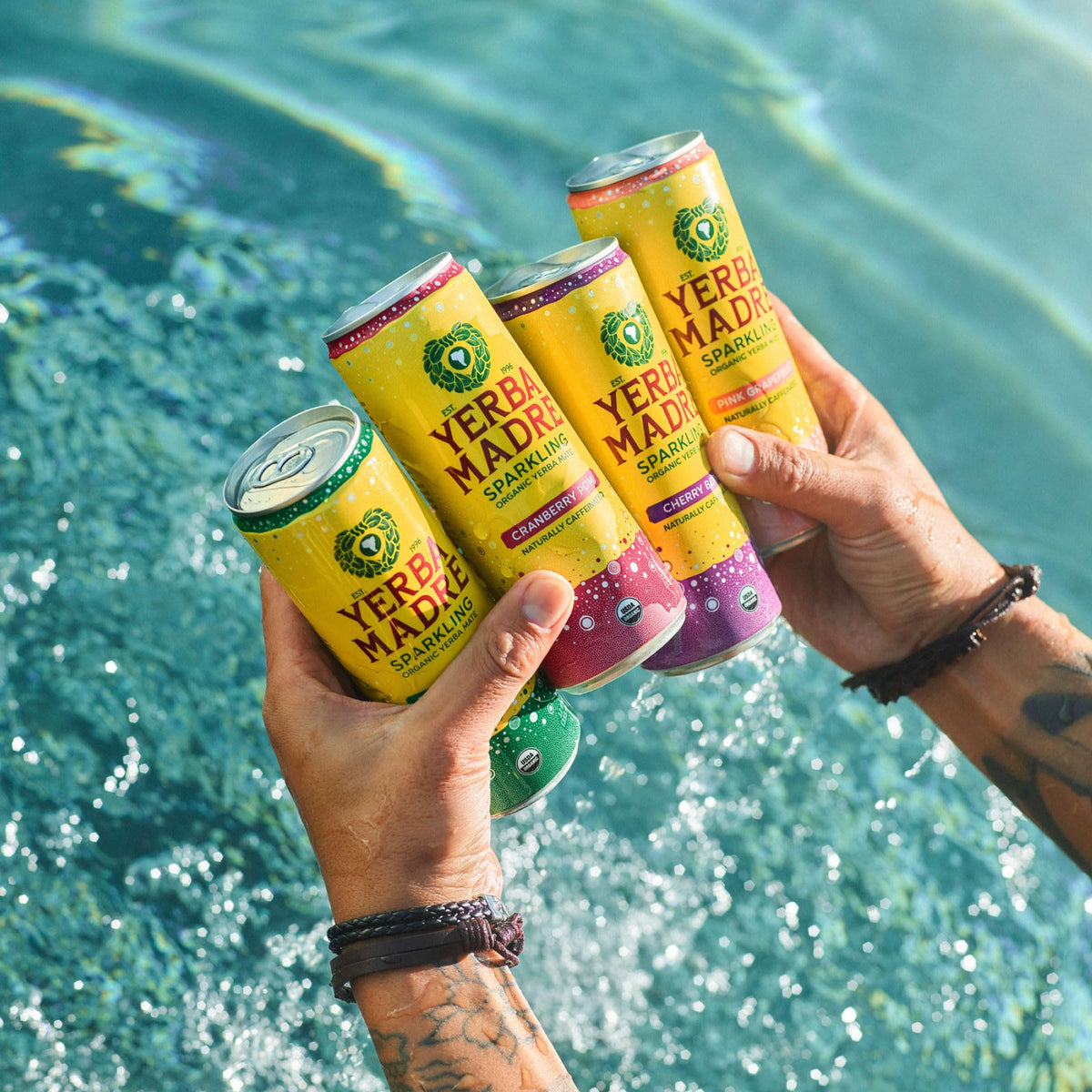 Guayaki Yerba Madre Organic Sparkling Yerba Mate Cranberry Pom – 12 Pack