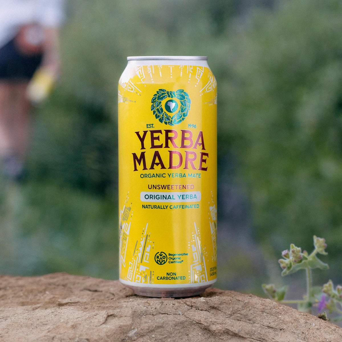 Guayaki Yerba Madre Organic Yerba Mate — Smooth Energy, 150mg Caffeine, Unsweetened Original (15.5oz, Pack of 12)