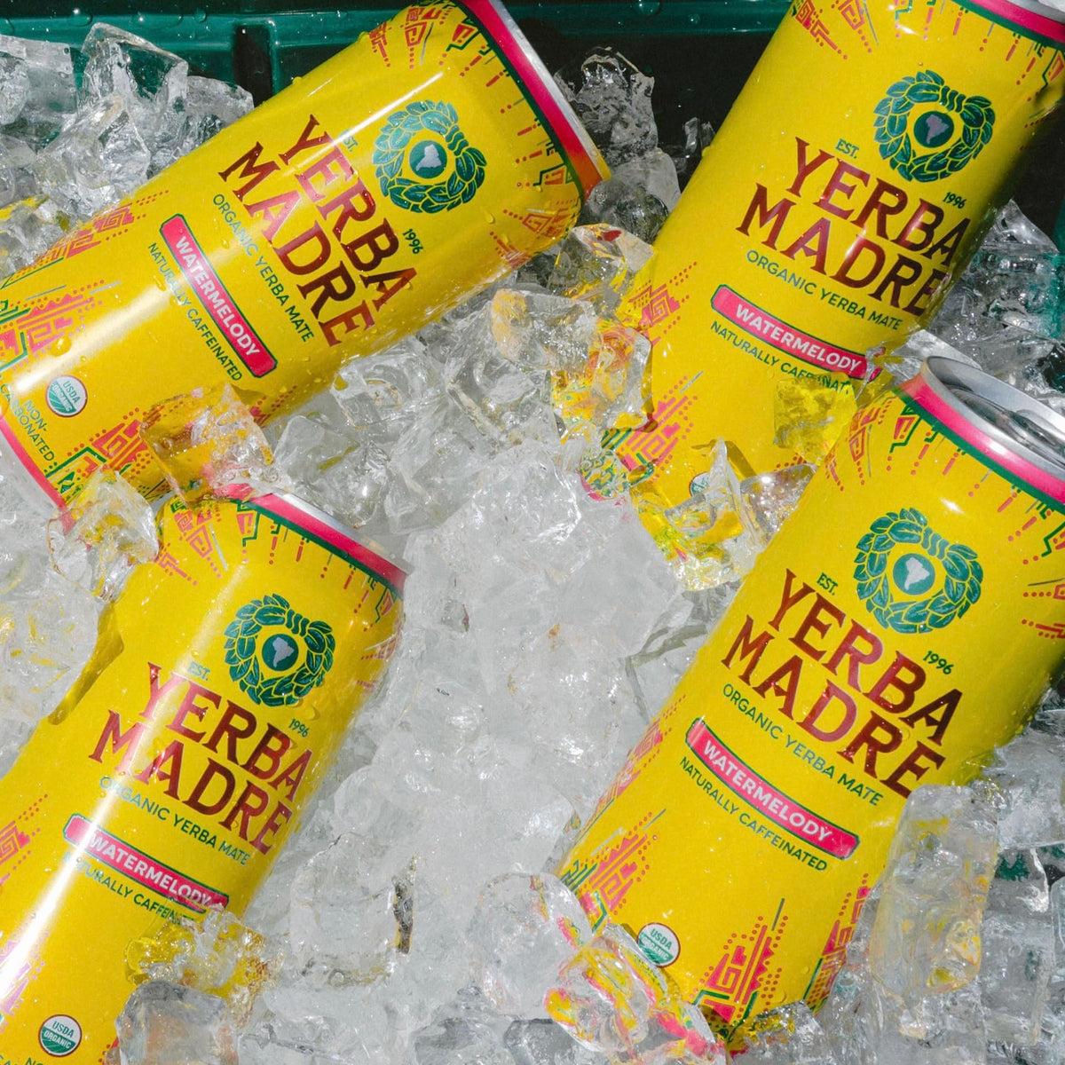 Guayaki Yerba Madre Organic Yerba Mate — Watermelody (12-Pack) | Smooth Plant-Based Energy