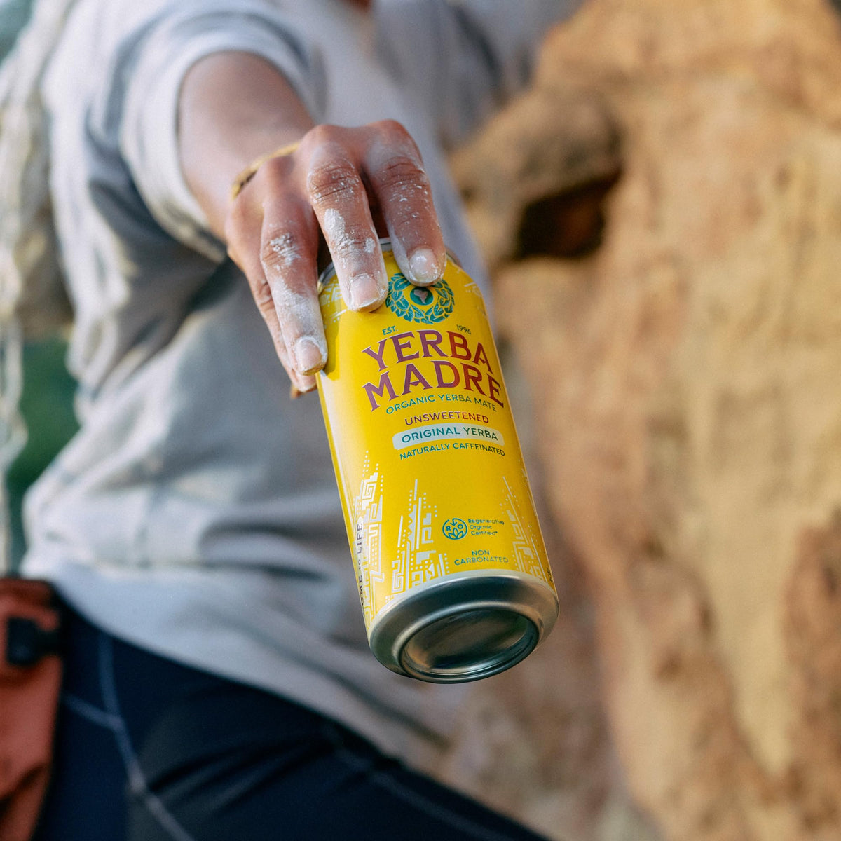 Guayaki Yerba Madre Organic Yerba Mate — Smooth Energy, 150mg Caffeine, Unsweetened Original (15.5oz, Pack of 12)