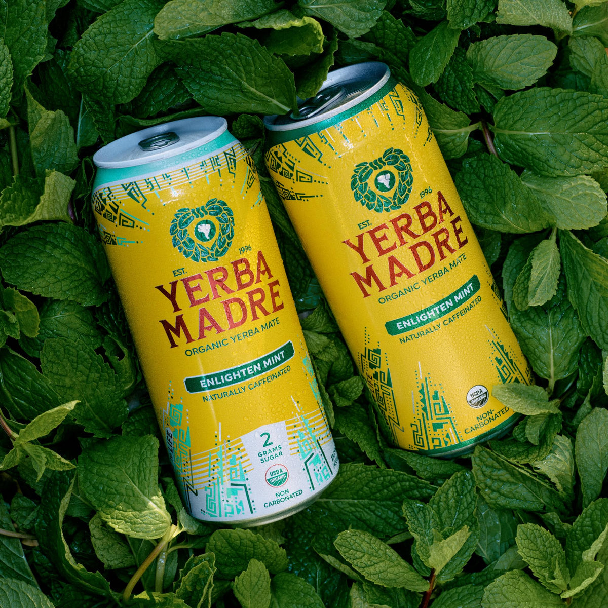 Guayaki Yerba Madre Organic Yerba Mate — Enlighten Mint, Lower Sugar, 150mg Caffeine, 12-Pack