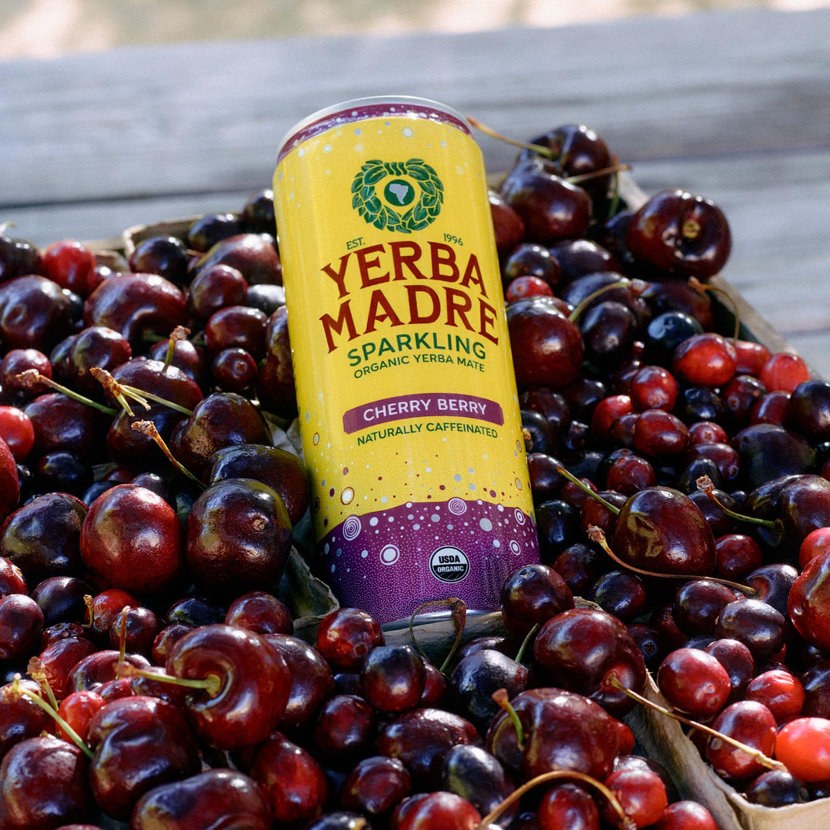 Guayaki Yerba Madre Organic Sparkling Yerba Mate Cherry Berry – 12 Pack, 115 mg Caffeine