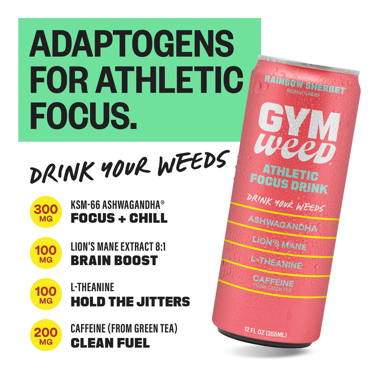 GYM WEED Athletic Focus Drink – KSM-66 Ashwagandha, Lion's Mane, L-Theanine, Green Tea Caffeine, Rainbow Sherbet, 12 Pack