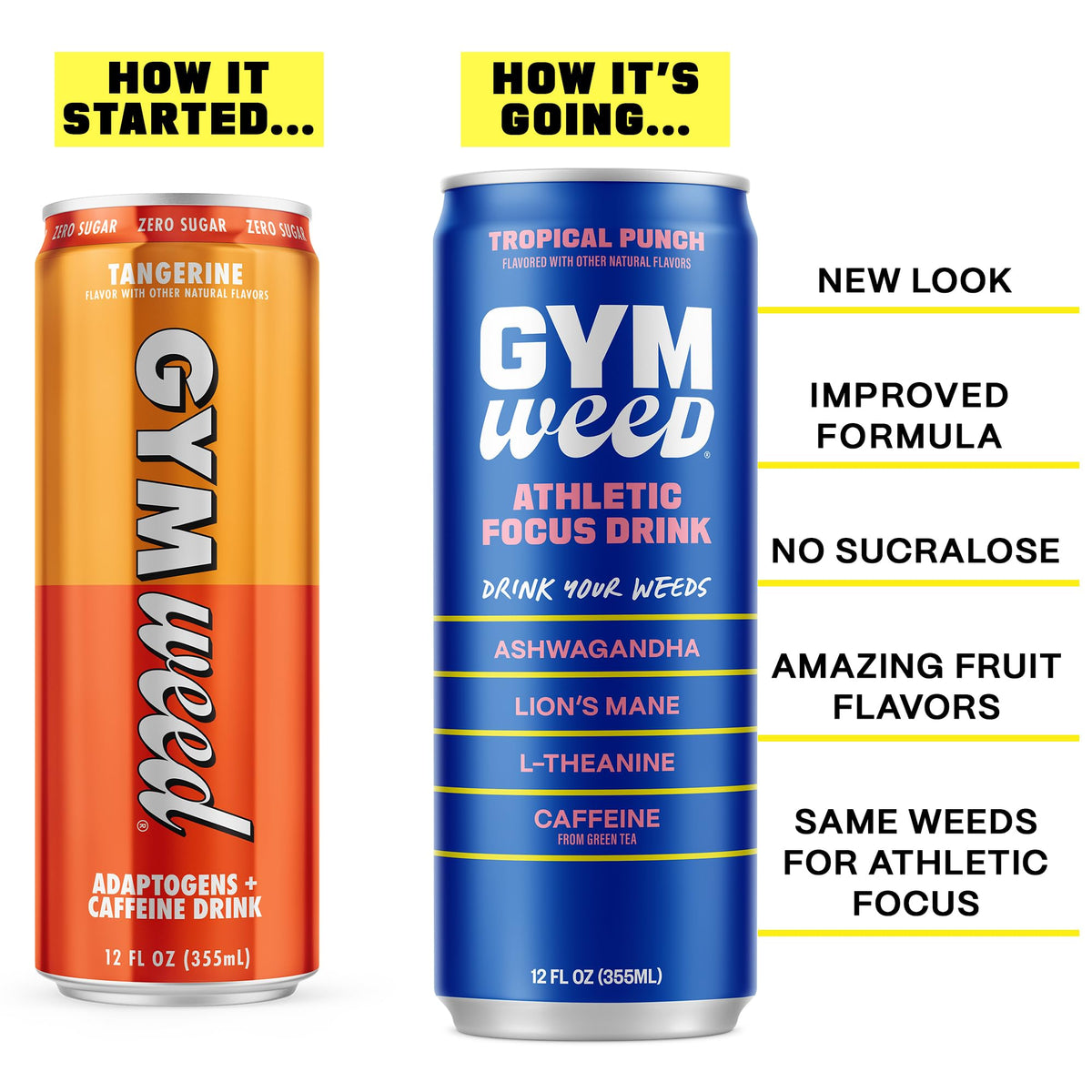 GYM WEED Athletic Focus Drink — KSM-66 Ashwagandha, Lion's Mane, L-Theanine, Green Tea Caffeine | Tropical Punch 12 Pack