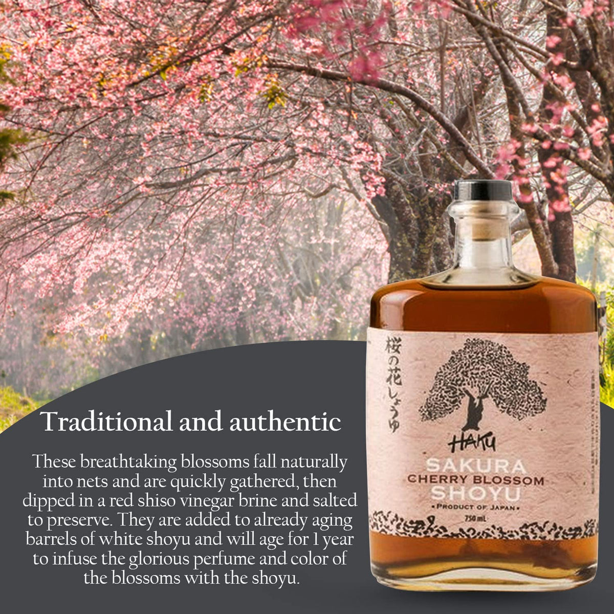 HAKU Sakura Cherry Blossom Shoyu Soy Sauce – 750ml, Handmade Japanese Barrel-Aged Light Soy Sauce