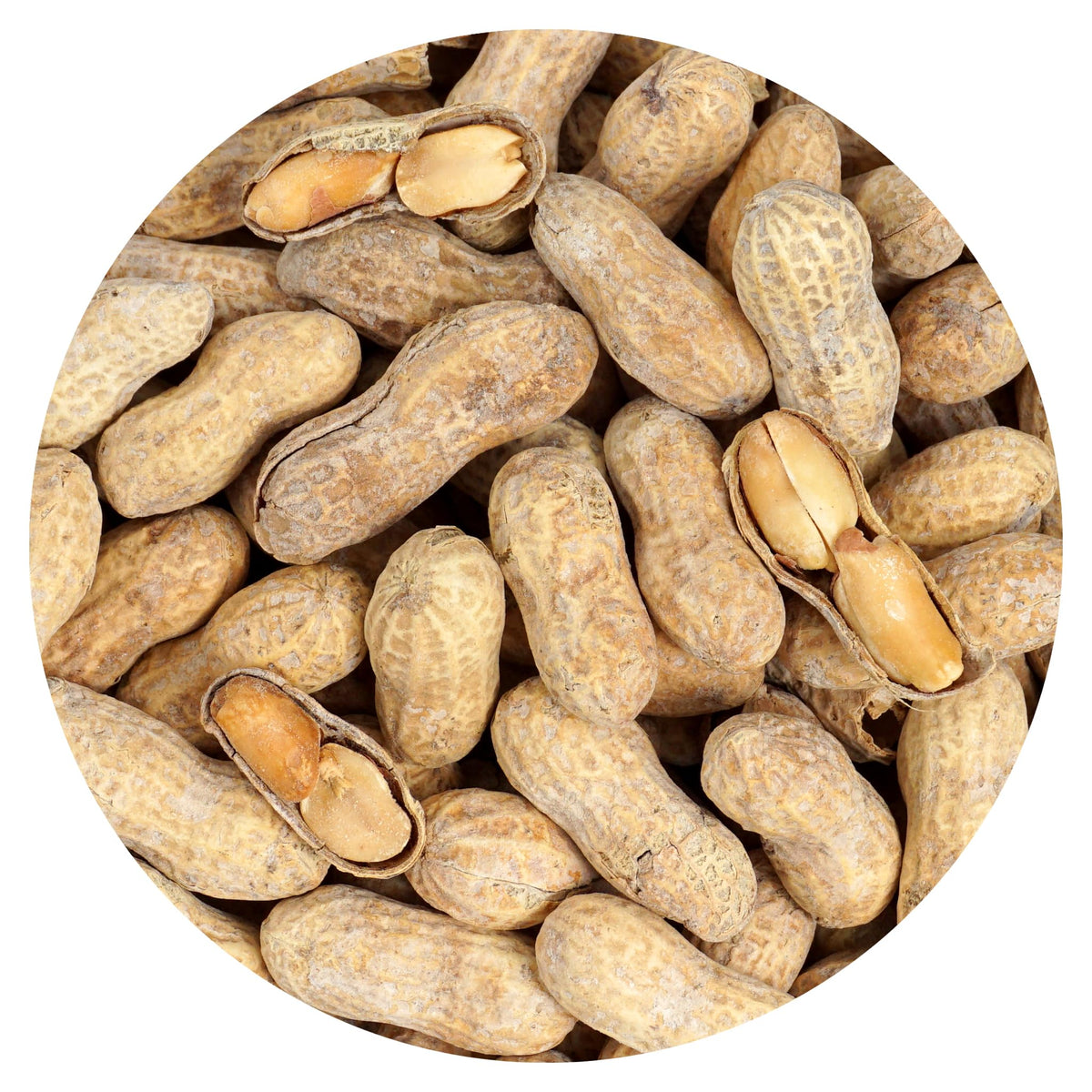 Hampton Distribution Peanuts In Shell – Roasted & Salted, 10 lb Bulk Bag