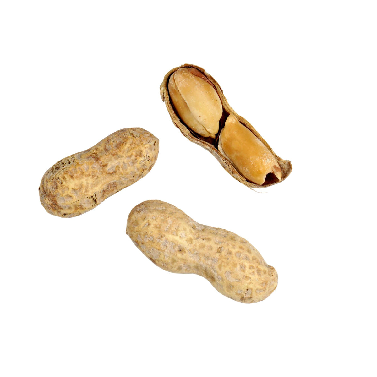 Hampton Distribution Peanuts In Shell – Roasted & Salted, 10 lb Bulk Bag