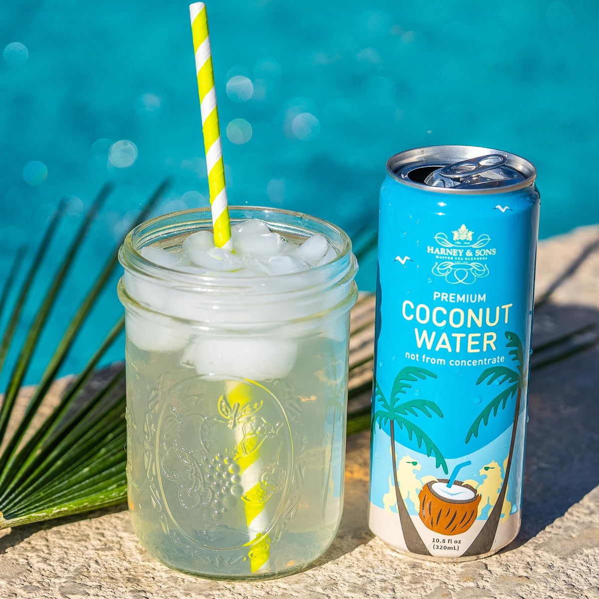 Harney & Sons Coconut Water – Naturally Refreshing Hydration with Electrolytes, 12 Cans (10.8 oz each)