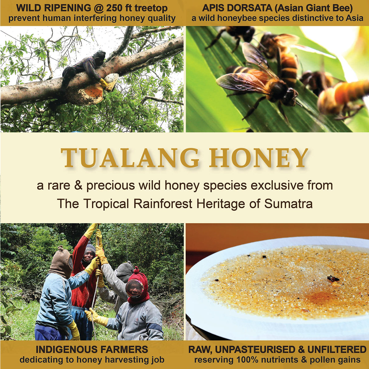 Health Harvest Tualang Black Honey 10oz – Raw, Unpasteurized, Unfiltered