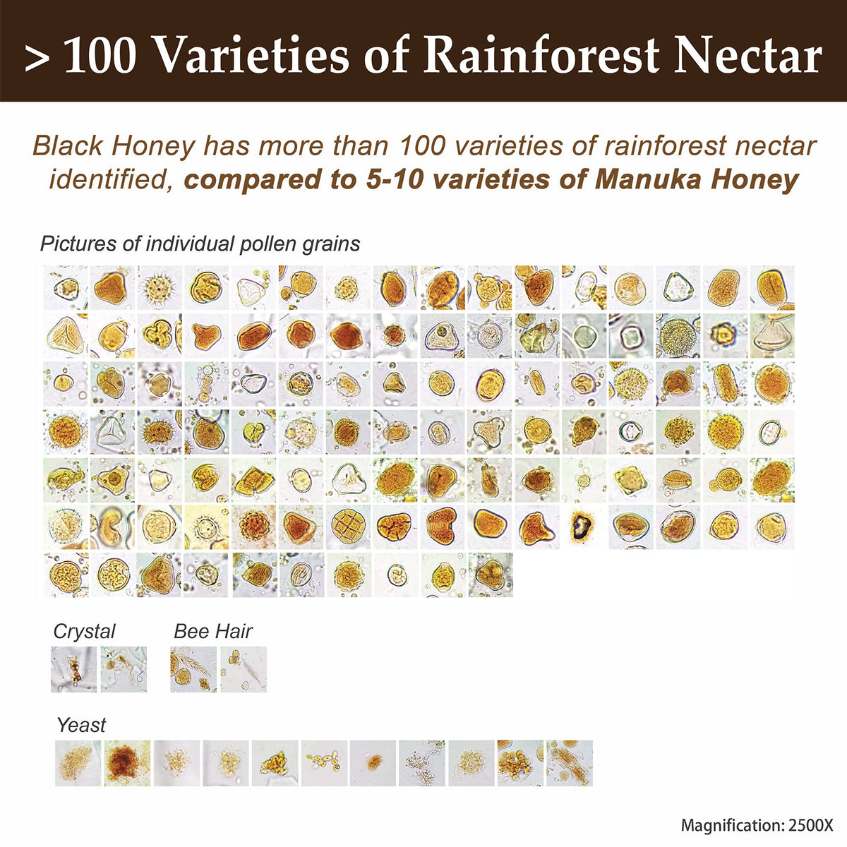 Health Harvest Tualang Black Honey 10oz – Raw, Unpasteurized, Unfiltered