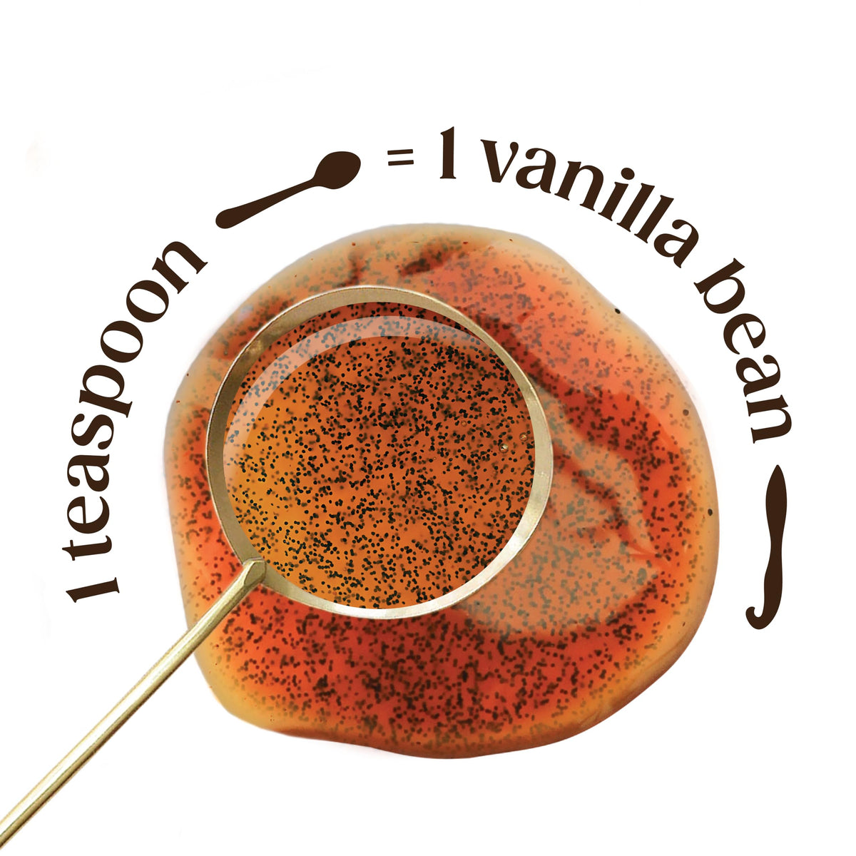 Heilala Vanilla Bean Paste for Baking – Premium, Ethically Sourced, 8 oz