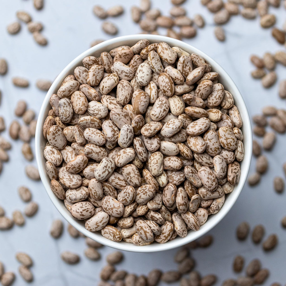 High Plains Pinto Beans – 10 lb Bag | Non-GMO • High Protein & Fiber