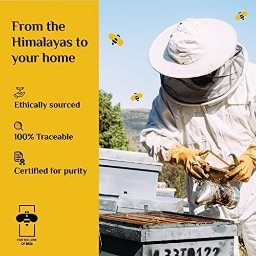 Honey Twigs Pure Multifloral Honey Sachets – 100 Count, 28.22 oz, Mess-Free Pick & Go