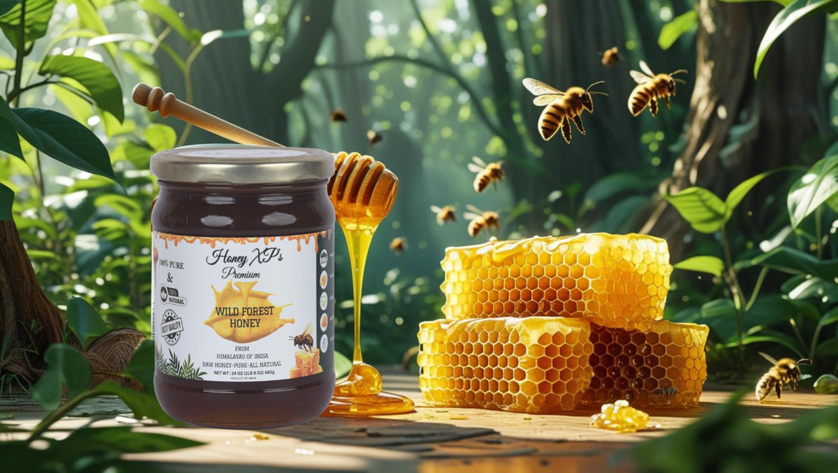 Honey XP Raw Himalayan Wild Forest Honey – 680g Glass Jar | 100% Pure & Natural