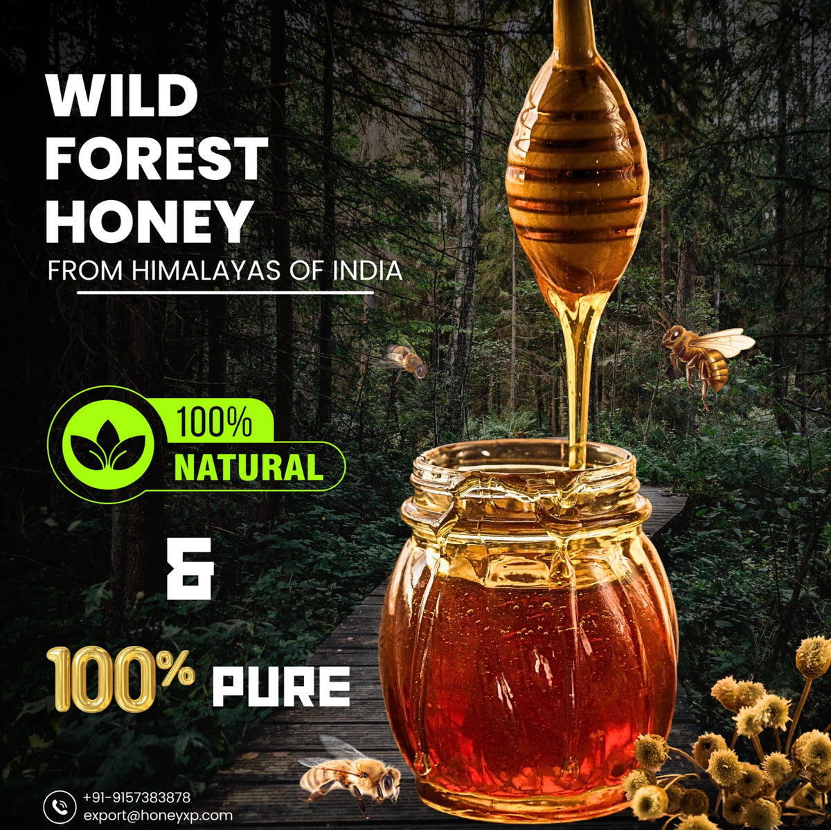Honey XP Raw Himalayan Wild Forest Honey – 680g Glass Jar | 100% Pure & Natural