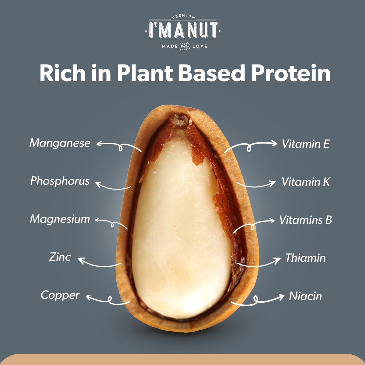 I'm A Nut Premium Raw Pine Nuts 16oz – Gluten & Peanut Free, Non-GMO, Resealable Pouch