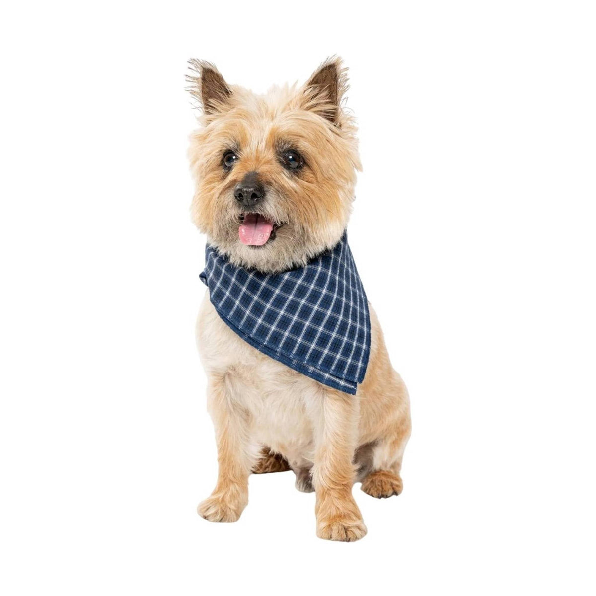 Insect Shield Trail Dog Bandana - Navy Blue