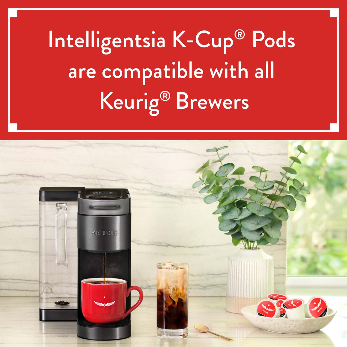 Intelligentsia El Gallo Organic Light Roast K-Cups — 3 Boxes of 10 | Milk Chocolate, Honey, Cola