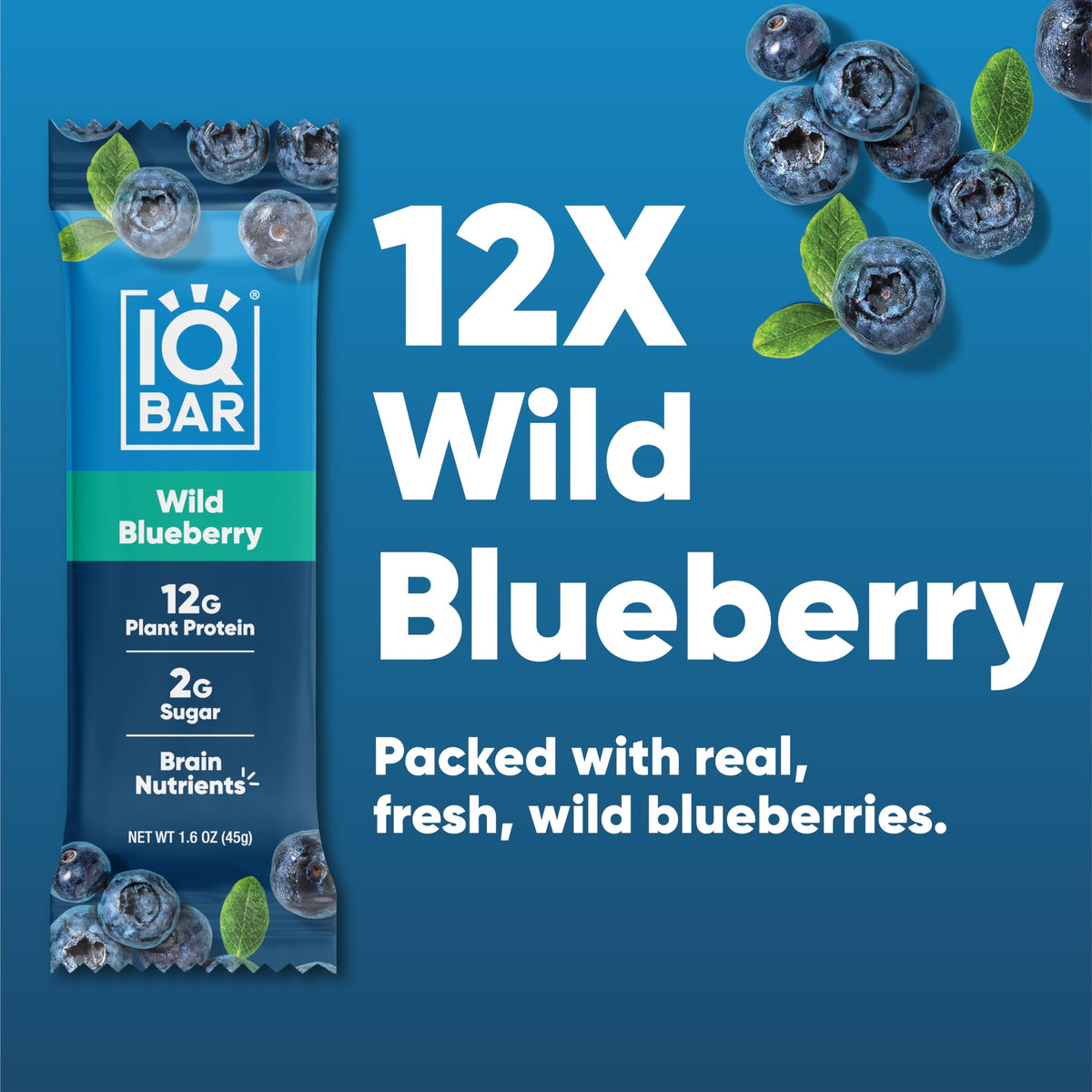 IQBAR Clean Plant Protein Bars - Wild Blueberry | Keto, Vegan, Gluten & Dairy Free, 12 Count