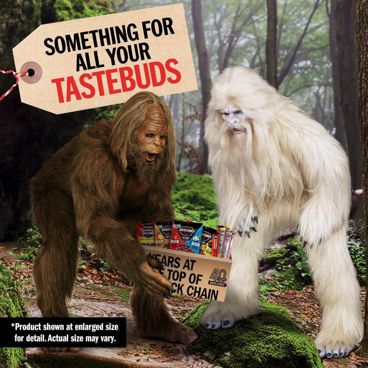 Jack Link’s DUOs Gift Box – 11-Piece Beef Jerky & Chicken Snack Variety Pack