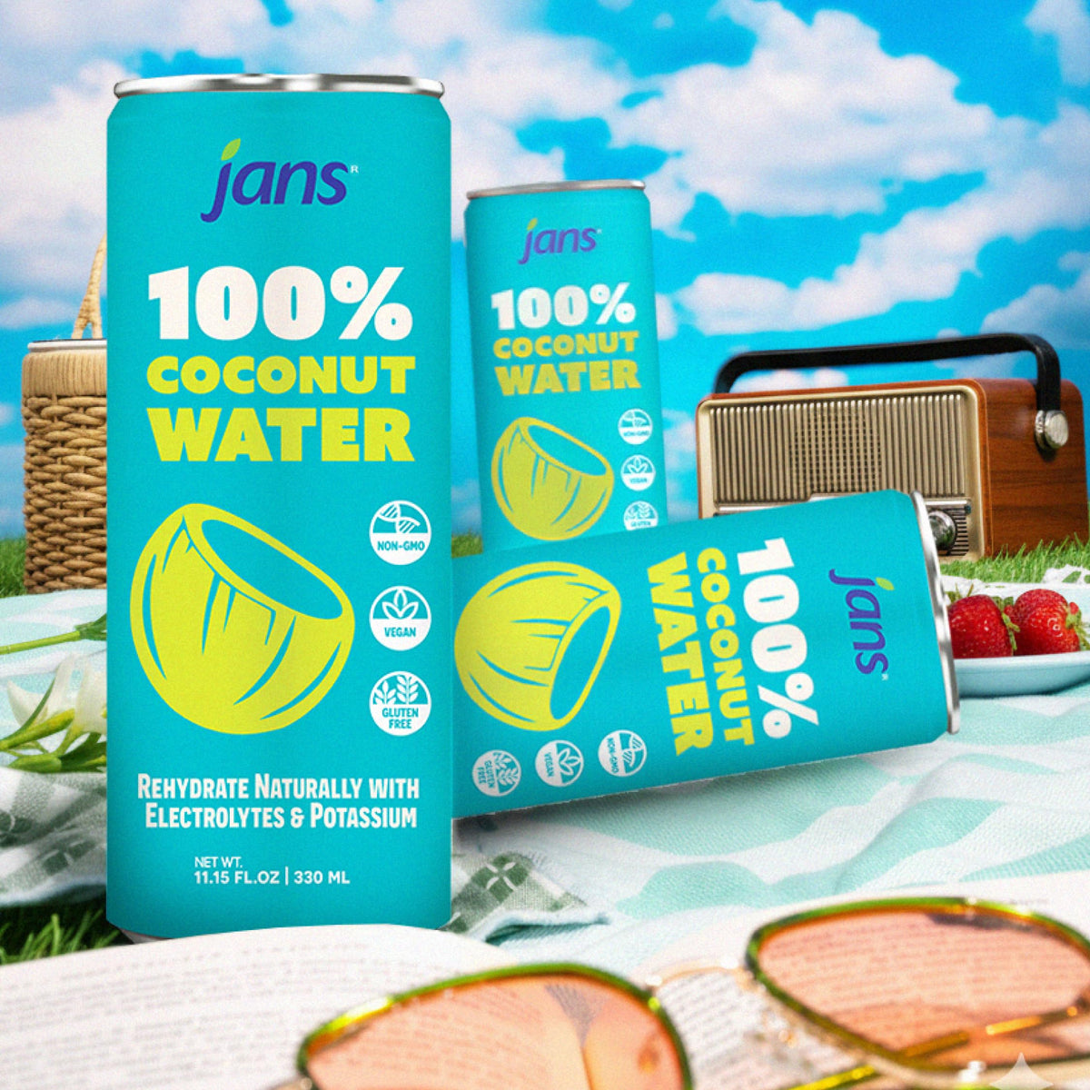 Jans 100% Coconut Water – No Added Sugar, 11.15 oz Cans (Pack of 12)