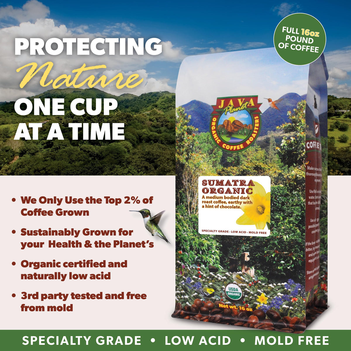 Java Planet Low Acid Organic Coffee – Sumatran Dark Roast, Whole Bean, 1LB Bag | Mold-Free & Stomach Friendly