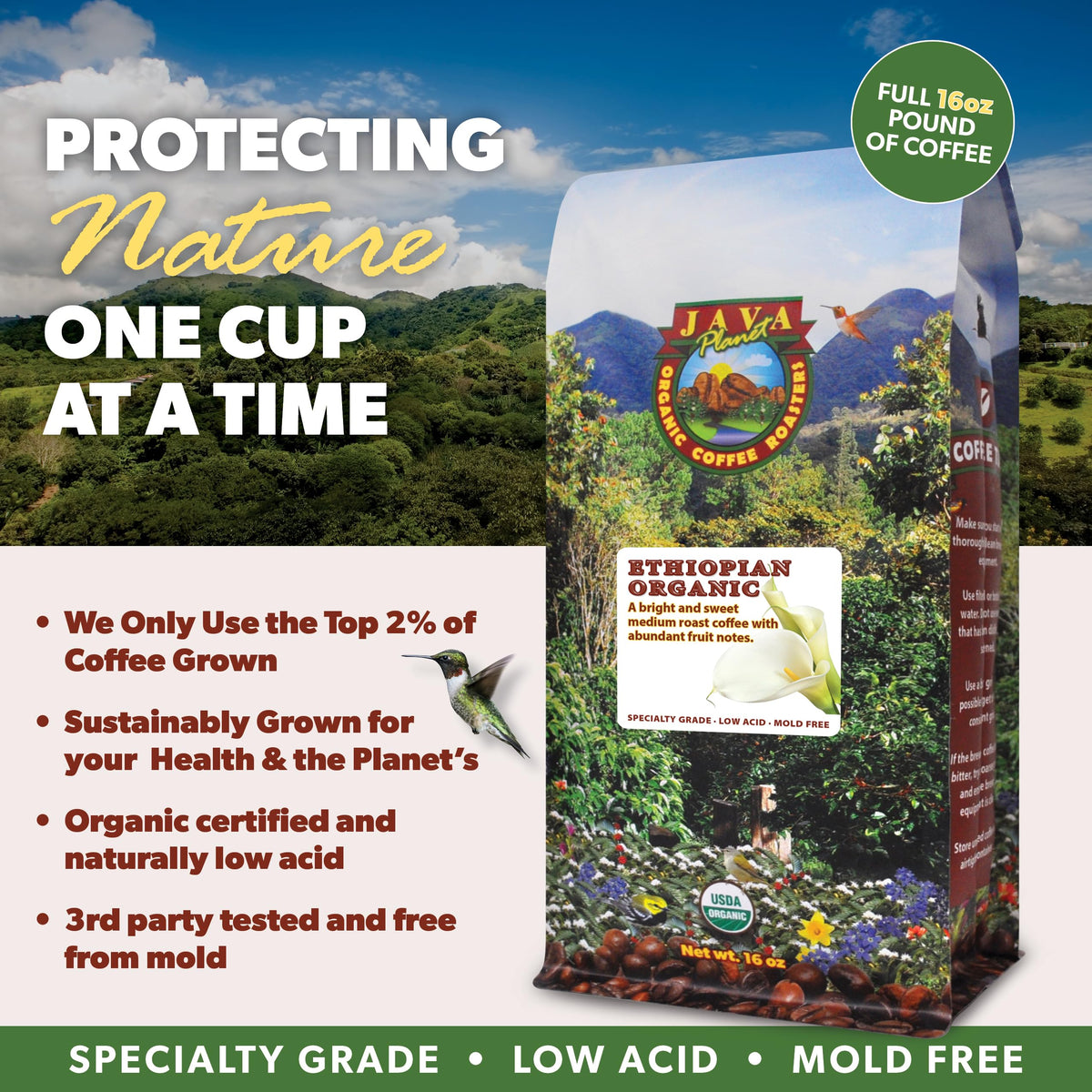 Java Planet Low Acid Organic Coffee – Ethiopian Whole Bean, Medium Roast, Mold-Free | 1LB Bag