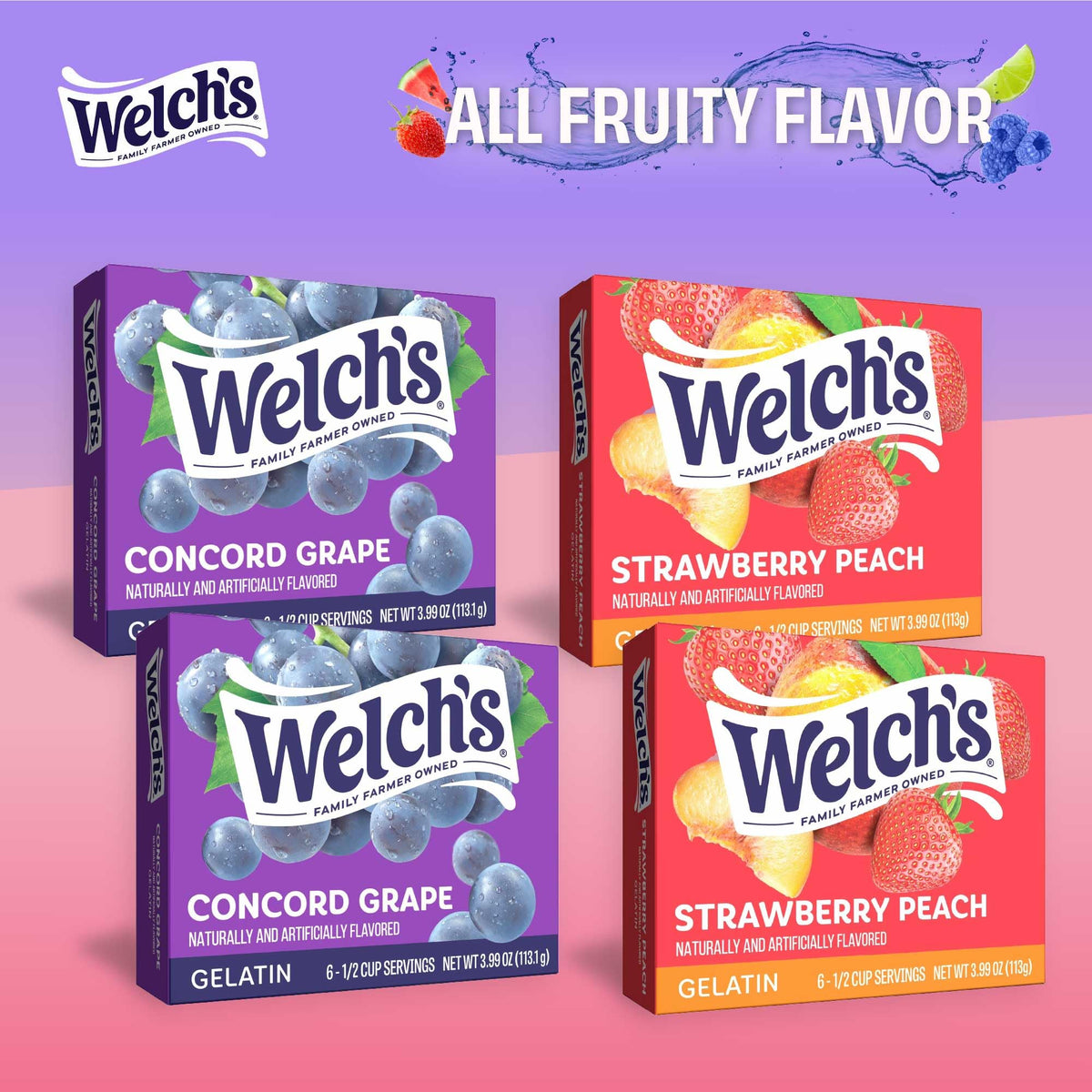 JEL SERT Gelatin Dessert Mix Variety Pack – 12 Flavored Boxes (Welch’s, Sonic, Starburst)
