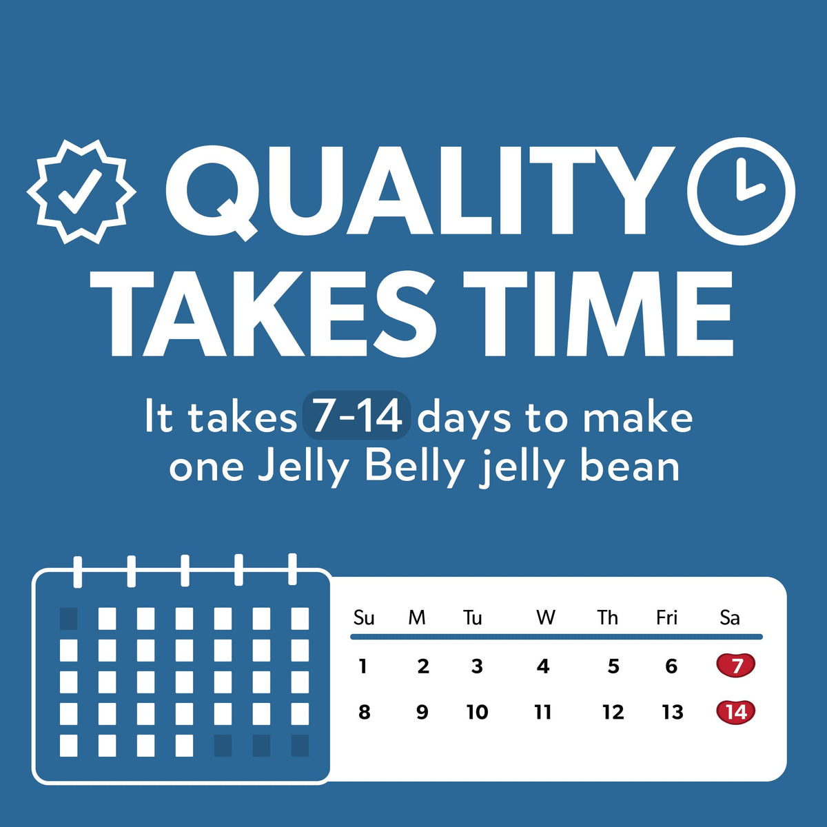 Jelly Belly Sugar Free Beans – 8.25 oz Bag, 10-Count Case | Official Jelly Belly Source