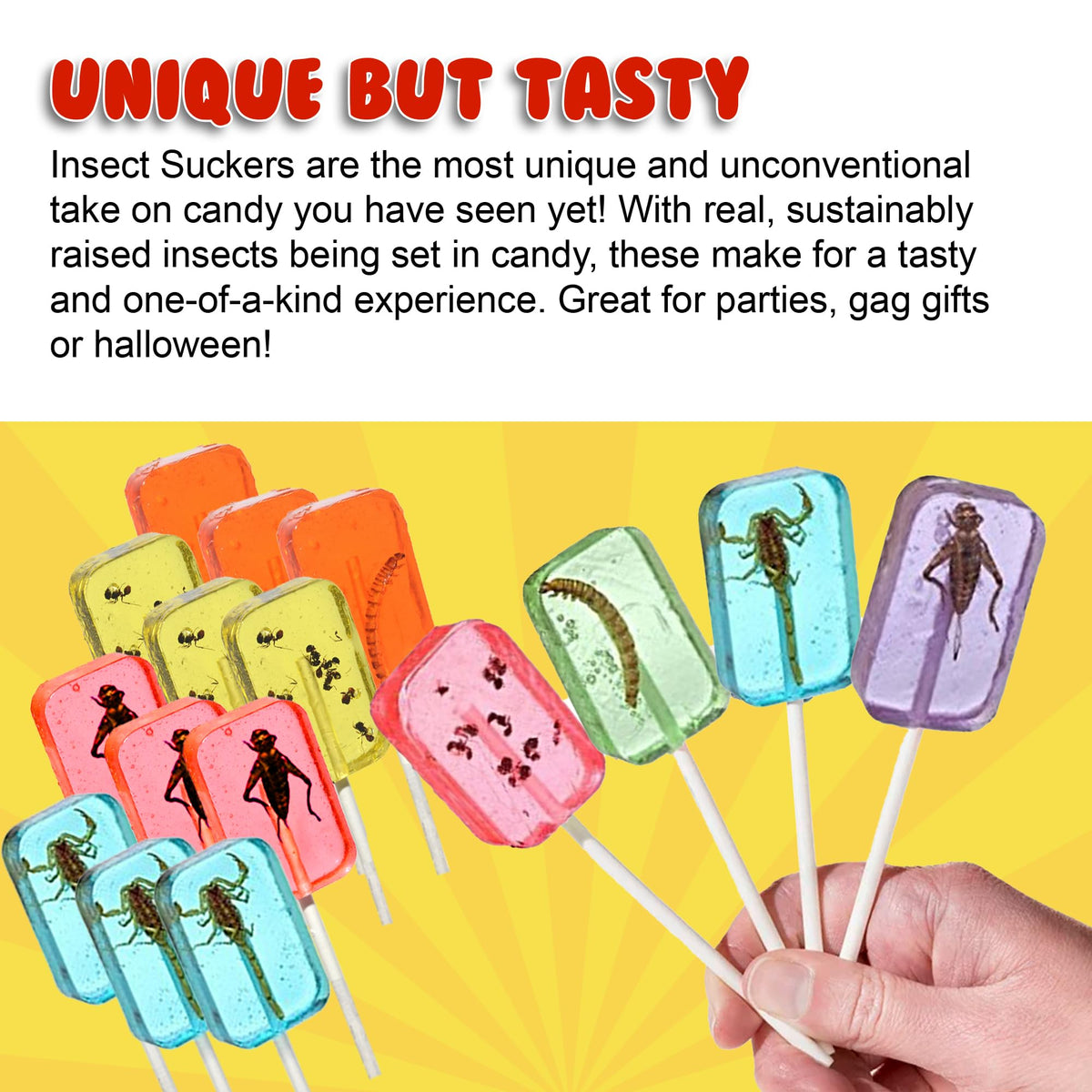 HotLix Insect Lollipops (16-Pack) – Scorpions, Worms, Ants & Crickets | Jerky-n-Spice